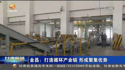 金昌 打造循環產業鏈 形成聚集優勢
