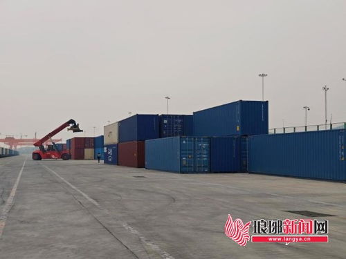 聚焦共建 一帶一路 產(chǎn)業(yè)發(fā)展國際研討會丨商城 臨沂號 的 一帶一路 之旅